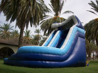 A wide variety of water slides