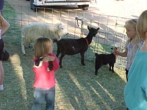 Arizona kids love petting zoo animals