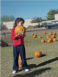 Pumpkin Patch and Petting Zoo delivered to your School