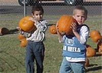 Kids pick their own pumpkins